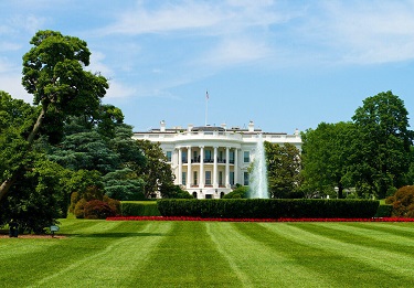 white house   Copy